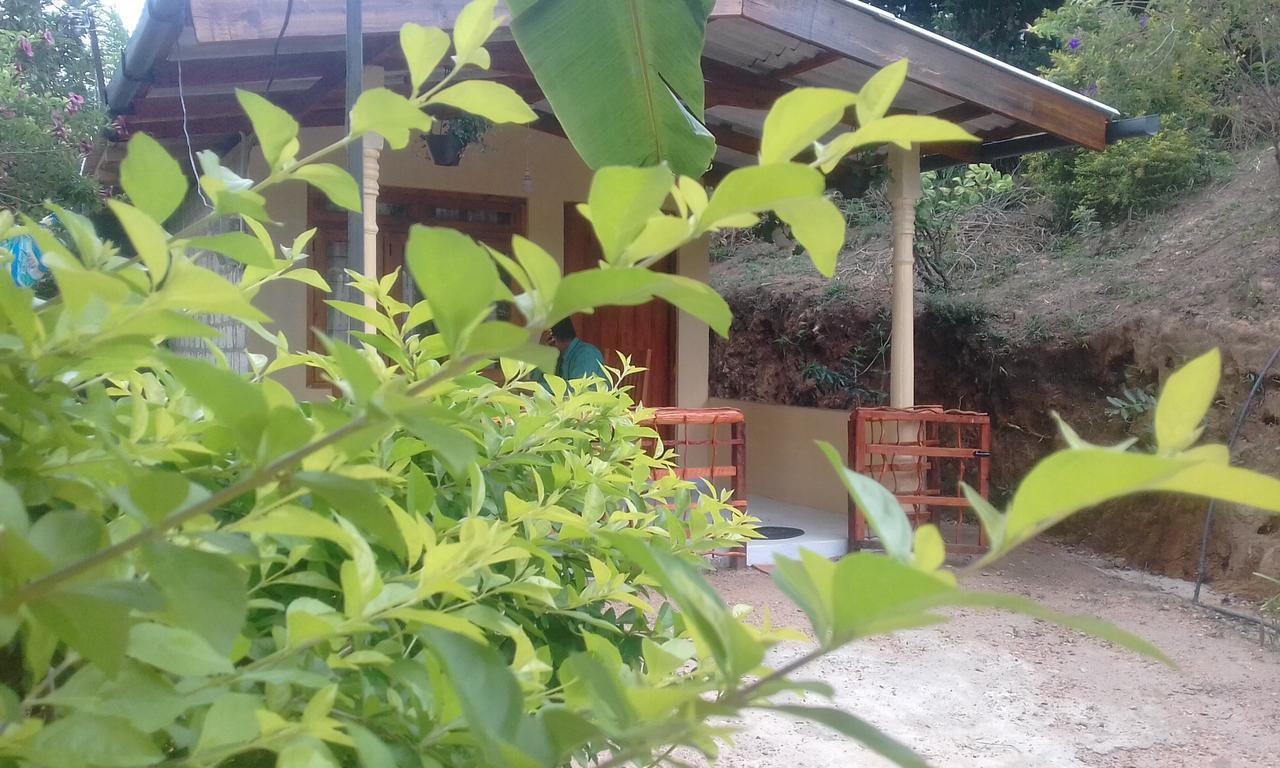 Ella J Villa ภายนอก รูปภาพ